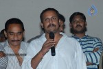 Bheemili Movie Platinum Disk Function - 10 of 28