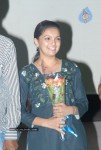 Bheemili Movie Platinum Disk Function - 18 of 28