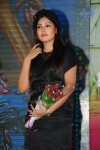 Billa Ranga Audio Launch - 143 of 272