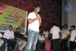 Bindaas Movie 100 Days Function - 36 of 38