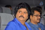 Biryani Movie Audio Launch - 18 of 152