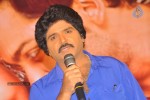 Biryani Movie Audio Launch - 151 of 152