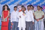 Boom Boom Audio Launch  - 24 of 114