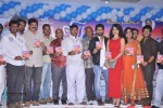 Boom Boom Audio Launch  - 61 of 114