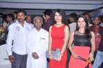 Boom Boom Audio Launch  - 102 of 114