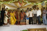 Brahmanandam Son Wedding Reception - 47 of 82