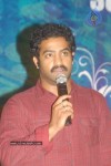 Brindavanam Movie Success Meet - 84 of 90