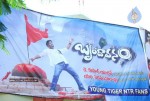 Brindavanam Movie Theatre Coverage - 29 of 46