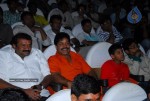 Brindavanam Movie Theatre Coverage - 30 of 46