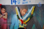 Brindavanam Movie Theatre Coverage - 33 of 46