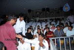 Brindavanam Movie Theatre Coverage - 34 of 46