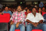 Brindavanam Movie Triple Platinum Disc Function - 132 of 164
