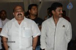 Brother of Bommali Movie Audio Launch 01 - 23 of 167