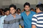 Brother of Bommali Movie Audio Launch 01 - 138 of 167