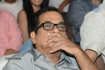 Brother of Bommali Movie Audio Launch 01 - 163 of 167
