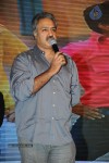 Brother of Bommali Movie Audio Launch 02 - 54 of 304