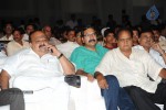 Brother of Bommali Movie Audio Launch 02 - 60 of 304