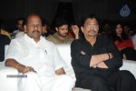 Brother of Bommali Movie Audio Launch 02 - 174 of 304