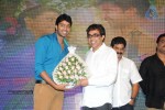 Brother of Bommali Movie Audio Launch 02 - 176 of 304