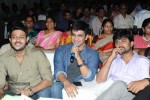 Brother of Bommali Movie Audio Launch 02 - 178 of 304