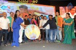 Brother of Bommali Movie Audio Launch 02 - 179 of 304