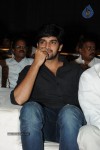 Brother of Bommali Movie Audio Launch 02 - 181 of 304