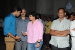 Brother of Bommali Movie Audio Launch 02 - 186 of 304