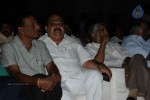 Brother of Bommali Movie Audio Launch 02 - 221 of 304
