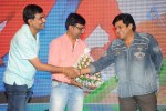 Brother of Bommali Movie Audio Launch 02 - 223 of 304