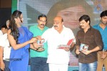 Brother of Bommali Movie Audio Launch 02 - 238 of 304
