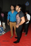 Brother of Bommali Movie Audio Launch 02 - 240 of 304