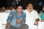 Brother of Bommali Movie Audio Launch 02 - 241 of 304