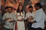 Brothers Movie Audio Launch  - 57 of 185