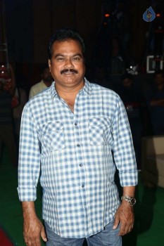 Bruce Lee Audio Launch 1 - 30 of 30