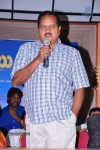 Buchi Babu Movie Audio Launch - 23 of 83