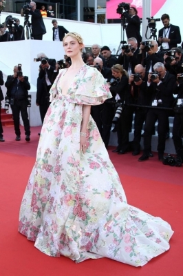 Cannes Film Festival Red Carpet - 27 of 27