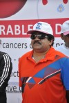Celebs at Cancer Awareness 2013 Event - 56 of 117