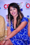 Celebs at CCL Press Meet - 24 of 62