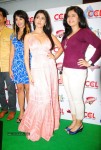 Celebs at CCL Press Meet - 43 of 62