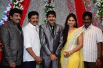 Celebs at Gopichand Malineni Wedding Reception - 45 of 66
