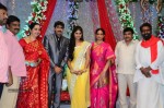 Celebs at Gopichand Malineni Wedding Reception - 60 of 66