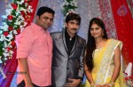 Celebs at Gopichand Malineni Wedding Reception - 62 of 66