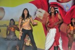 Chalaki Movie Audio Release Stills - 33 of 112