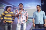 Chandi Movie Audio Launch 02 - 27 of 109