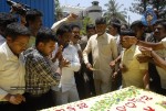 ChandraBabu Naidu Birthday Celebrations - 64 of 100