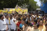 ChandraBabu Naidu Birthday Celebrations - 90 of 100