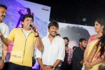Chinnadana Neekosam Platinum Disc Function - 43 of 126