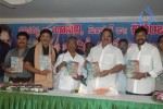 Chiranjeevi at Cine Aanimuthyalu Book Launch - 34 of 54