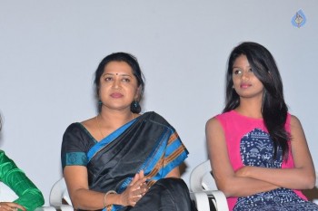 Chiru Godavalu Premiere Press Meet - 12 of 41