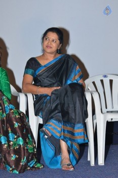 Chiru Godavalu Premiere Press Meet - 25 of 41